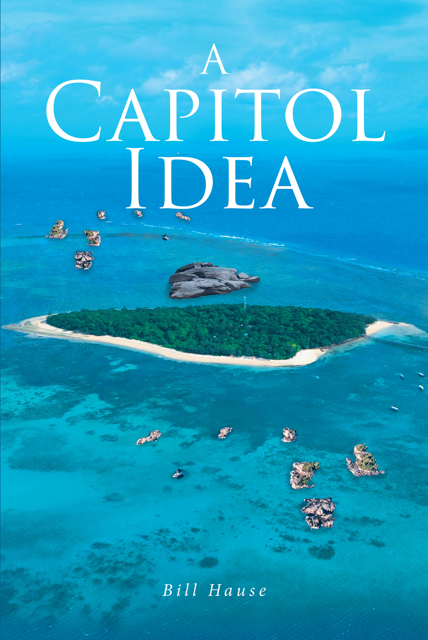 A Capitol Idea Cover Image