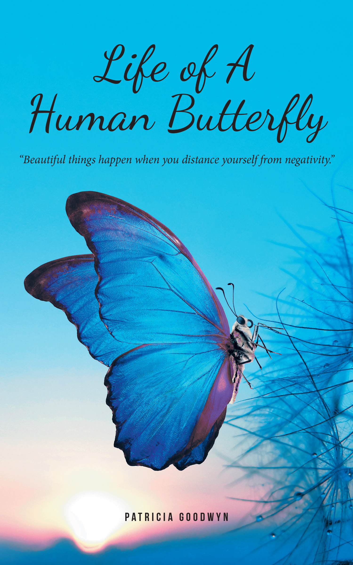 Life of A Human Butterfly Cover Image