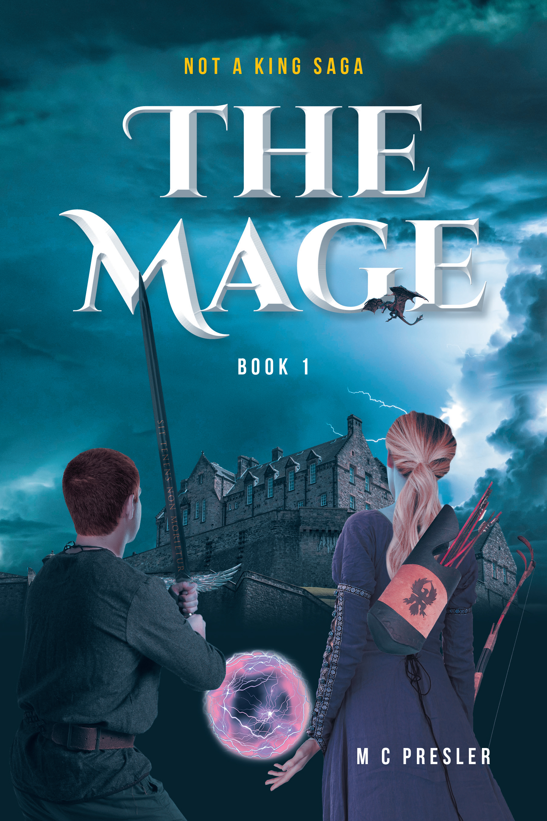 The Mage Book 1 Cover Image