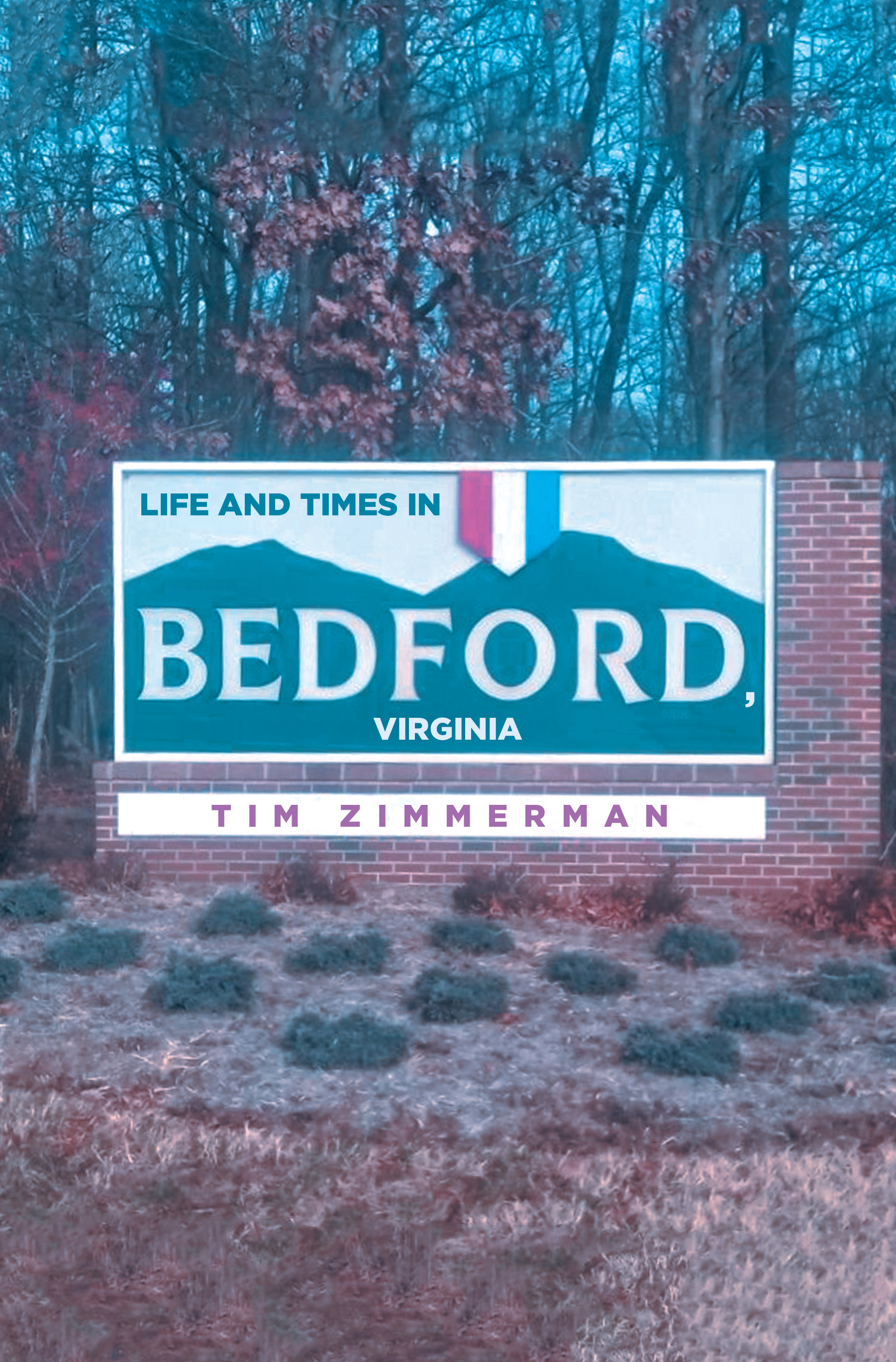 Life and Times in Bedford, Virginia Cover Image
