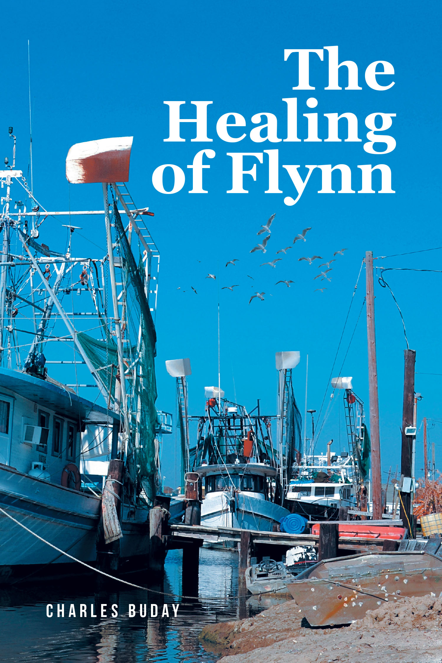 The Healing of Flynn Cover Image